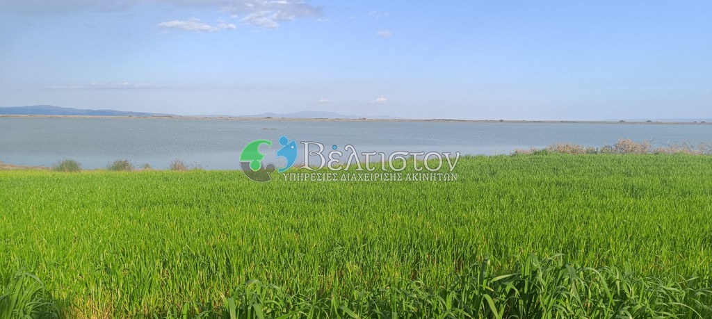 Αγροτεμάχια 1.816 τ.μ. πρός πώληση, Χαλκιδική, Μουδανιά
