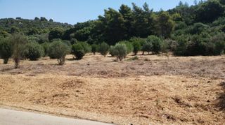 Αγροτεμάχια 4.066 τ.μ. για πώληση
