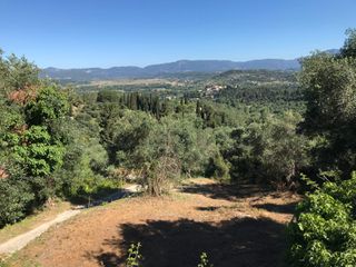 Αγροτεμάχια 10.360 τ.μ. για πώληση