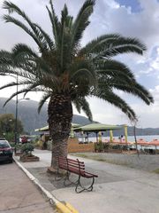 Διαμέρισμα 65 τ.μ. για πώληση, Μεσσηνία, Καλαμάτα-thumb-41