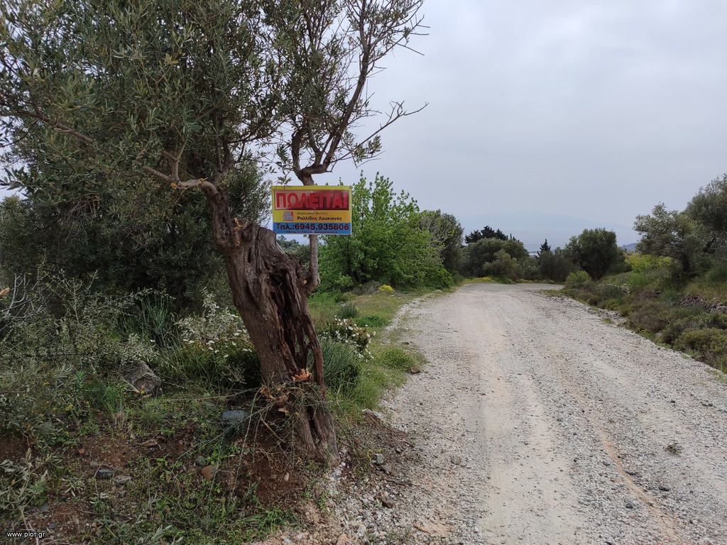 Οικόπεδο 3.277 τ.μ. πρός πώληση, Ν. Λέσβου, Λέσβος - Μυτιλήνη