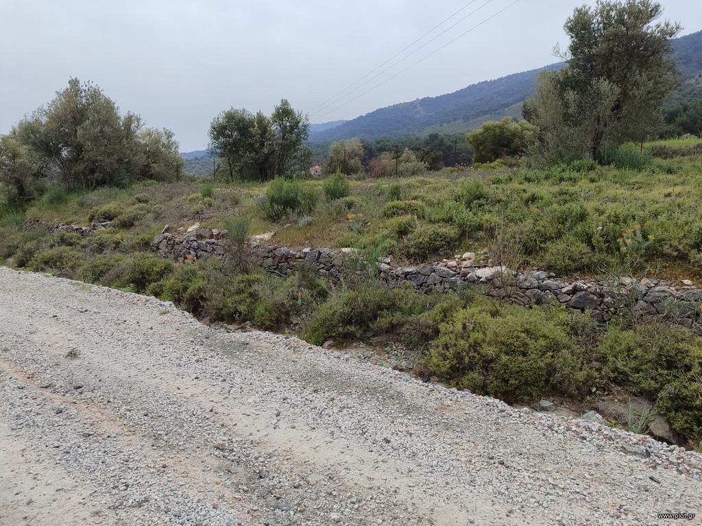 Οικόπεδο 3.277 τ.μ. πρός πώληση, Ν. Λέσβου, Λέσβος - Μυτιλήνη