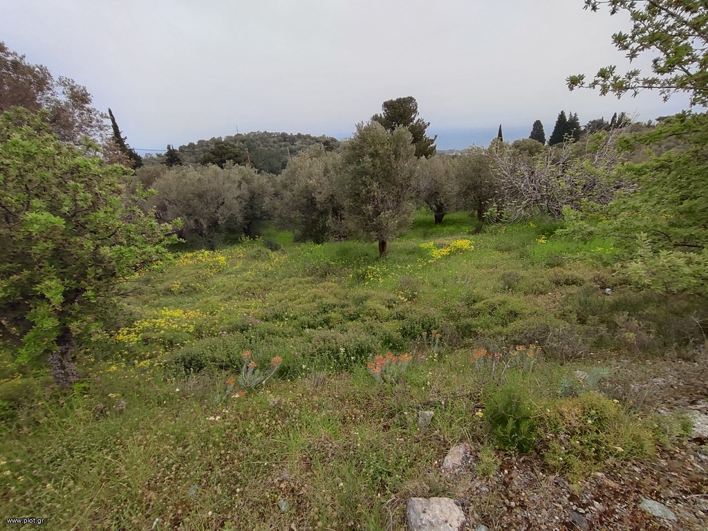 Οικόπεδο 3.277 τ.μ. πρός πώληση, Ν. Λέσβου, Λέσβος - Μυτιλήνη