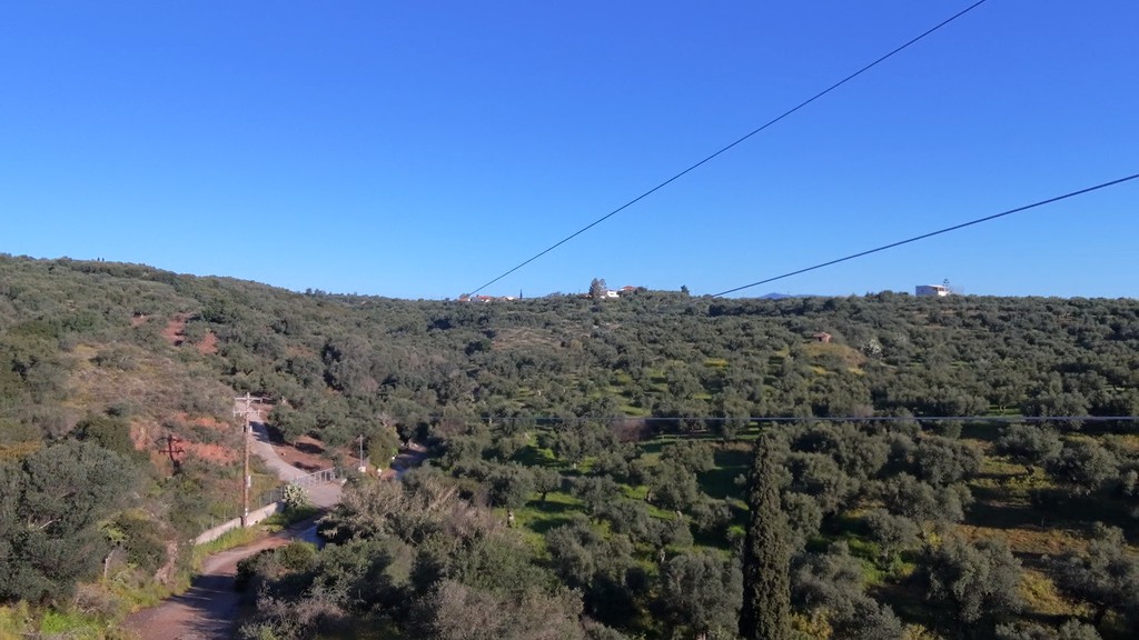 Αγροτεμάχια 10.000 τ.μ. πρός πώληση, Μεσσηνία, Κορώνη