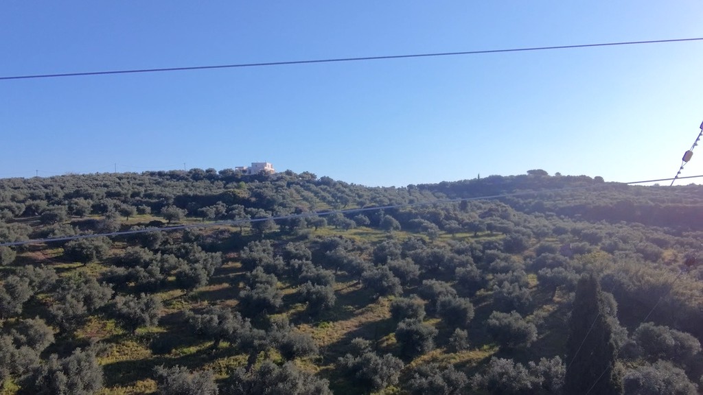 Αγροτεμάχια 10.000 τ.μ. πρός πώληση, Μεσσηνία, Κορώνη