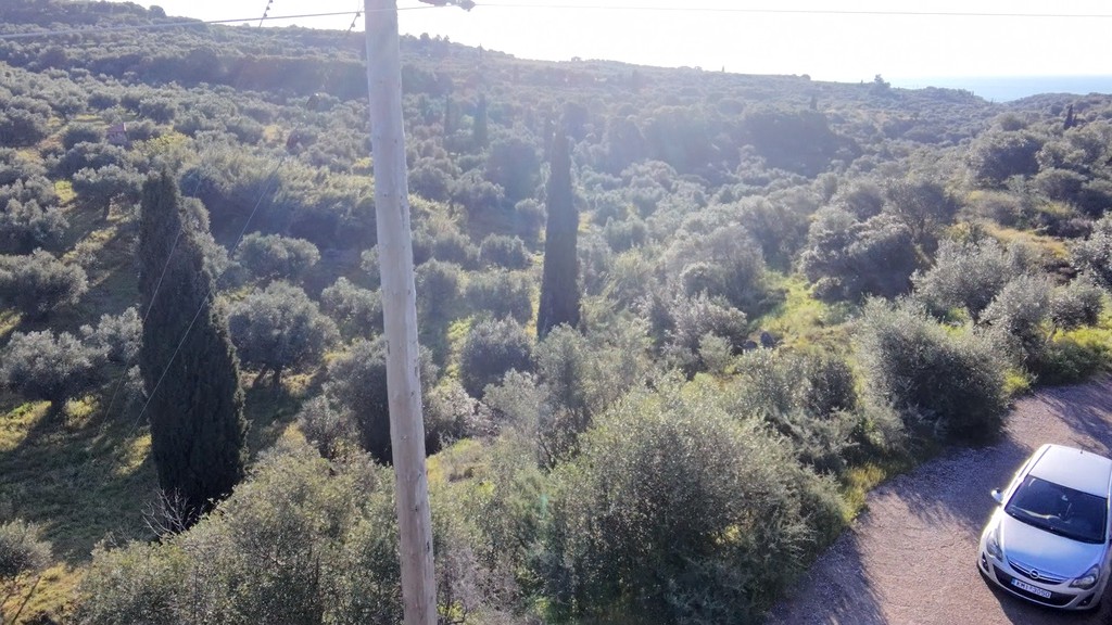 Αγροτεμάχια 10.000 τ.μ. πρός πώληση, Μεσσηνία, Κορώνη