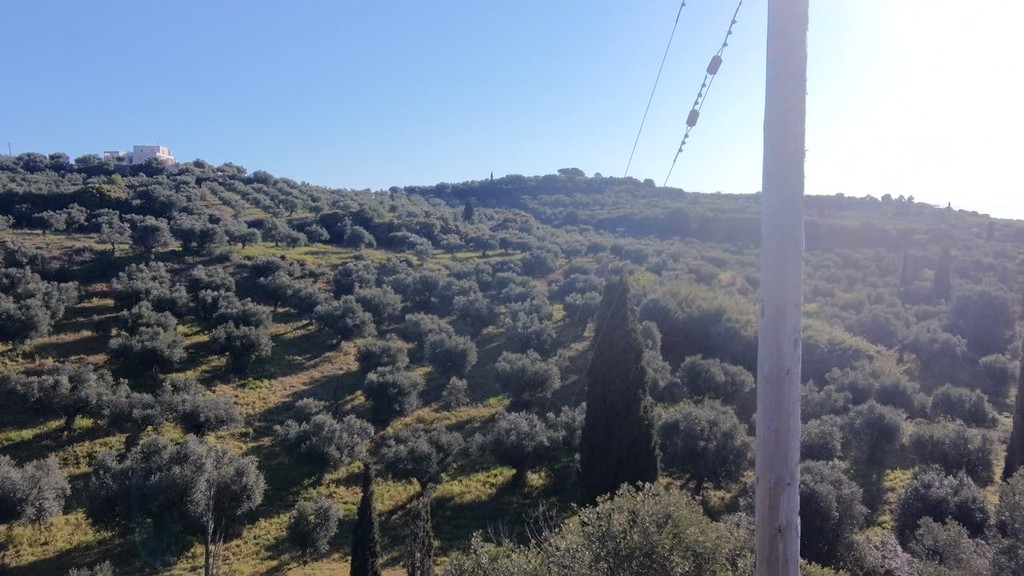 Αγροτεμάχια 10.000 τ.μ. πρός πώληση, Μεσσηνία, Κορώνη