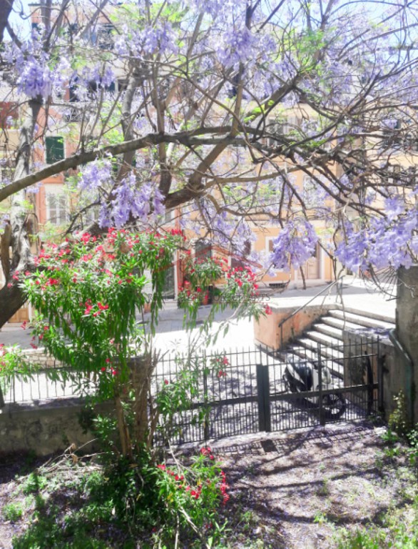 Μονοκατοικία 532 τ.μ. προς πώληση, Χώρα Κέρκυρας