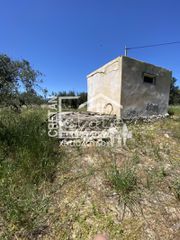 Αγροτεμάχια 6.472 τ.μ. για πώληση