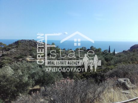 Αγροτεμάχια 14.016 τ.μ. για πώληση