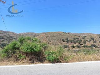 Αγροτεμάχια 2.300 τ.μ. πρός πώληση