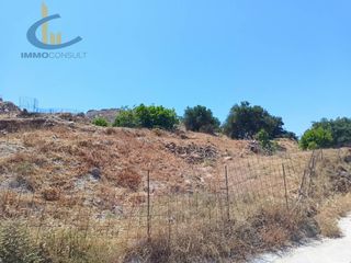 Αγροτεμάχια 6.000 τ.μ. για πώληση