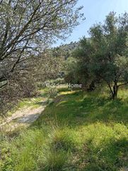 Αγροτεμάχια 2.000 τ.μ. για πώληση