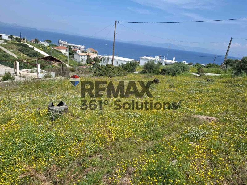 Οικόπεδο 646 τ.μ. πρός πώληση, Αττική - Υπόλοιπο, Ραφήνα