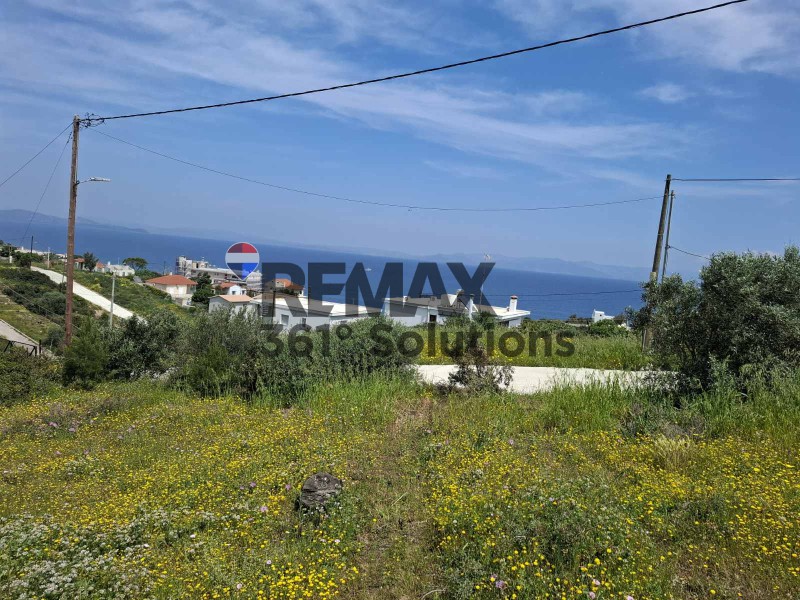 Οικόπεδο 646 τ.μ. πρός πώληση, Αττική - Υπόλοιπο, Ραφήνα