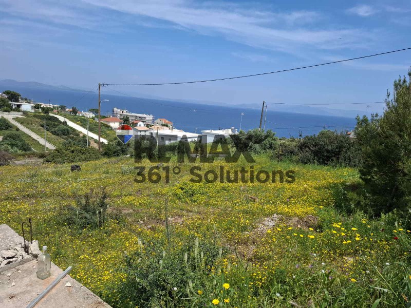 Οικόπεδο 646 τ.μ. πρός πώληση, Αττική - Υπόλοιπο, Ραφήνα