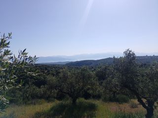 Αγροτεμάχια 7.000 τ.μ. για πώληση, Μεσσηνία, Αριστομένης-thumb-2