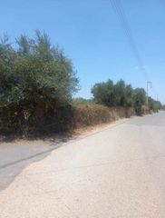 Αγροτεμάχια 4.000 τ.μ. για πώληση, Μεσσηνία, Μεσσήνη-thumb-1