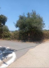 Αγροτεμάχια 4.000 τ.μ. για πώληση