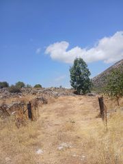 Οικόπεδο 121,29 τ.μ. προς πώληση, Αργυρό-thumb-4