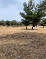Οικόπεδο 2.134 τ.μ. για πώληση
