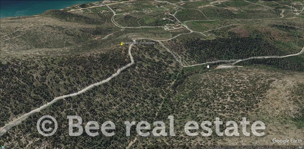 Αγροτεμάχια 4.008 τ.μ. πρός πώληση, Μαγνησία, Αισωνία
