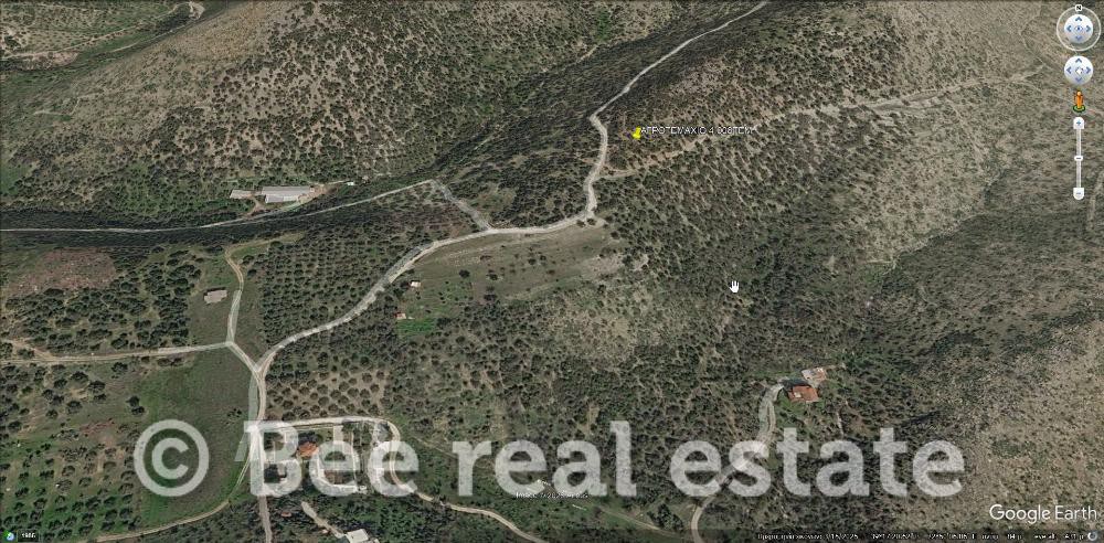 Αγροτεμάχια 4.008 τ.μ. πρός πώληση, Μαγνησία, Αισωνία
