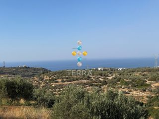 Αγροτεμάχια 8.000 τ.μ. για πώληση