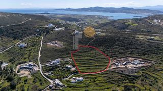 Αγροτεμάχια 7.202 τ.μ. προς πώληση, Πάρος-thumb-15