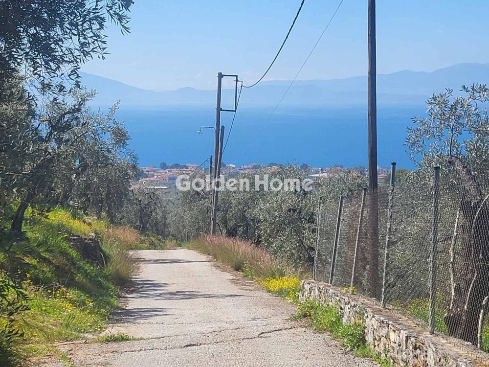 Οικόπεδο 4.388 τ.μ. προς πώληση, Ανεμούτσα