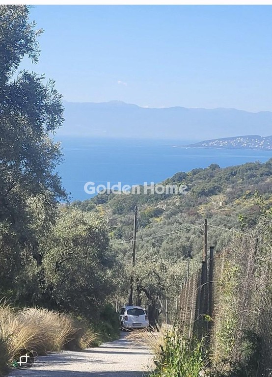 Οικόπεδο 4.388 τ.μ. προς πώληση, Ανεμούτσα