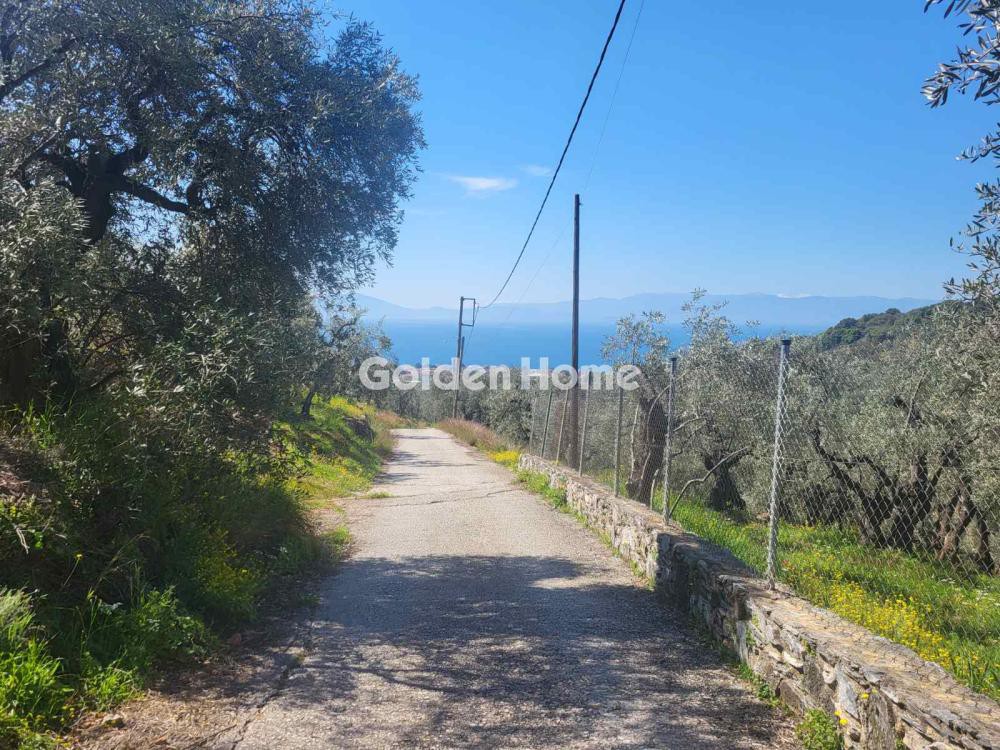 Οικόπεδο 4.388 τ.μ. προς πώληση, Ανεμούτσα