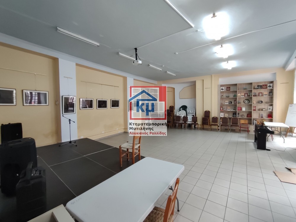 Επιχειρηματικό κτίριο 435 τ.μ. πρός πώληση, Ν. Λέσβου, Λέσβος - Μυτιλήνη