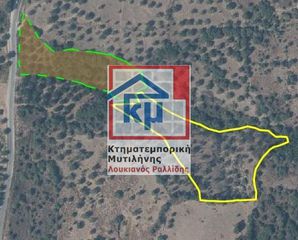 Αγροτεμάχια 12.000 τ.μ. για πώληση