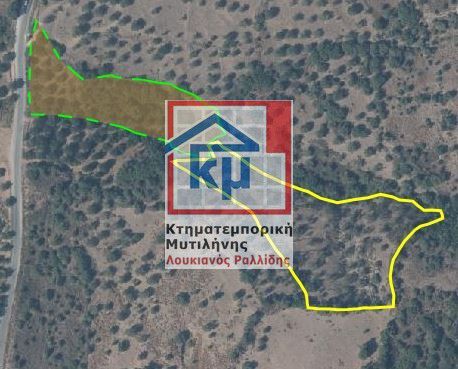 Αγροτεμάχια 12.000 τ.μ. για πώληση, Ν. Λέσβου, Λέσβος - Ερεσός