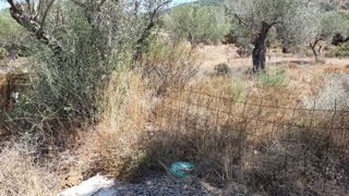 Αγροτεμάχια 12.000 τ.μ. για πώληση, Ν. Λέσβου, Λέσβος - Ερεσός-thumb-1