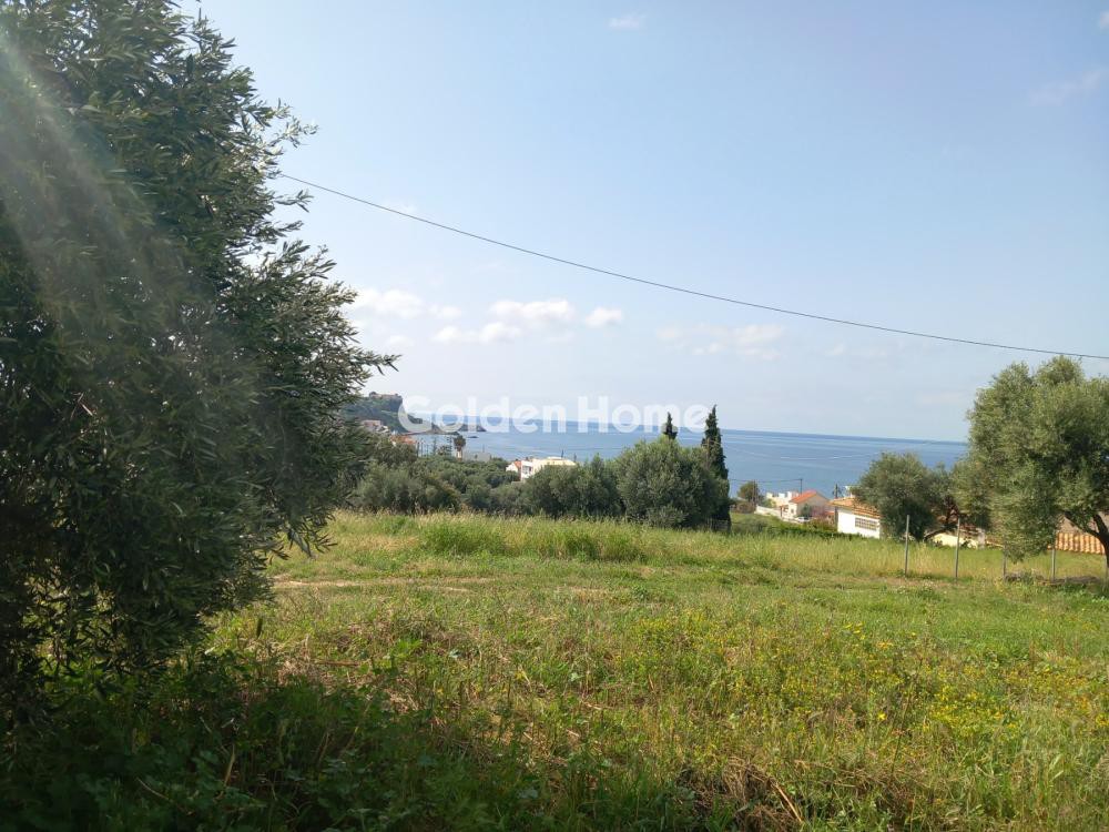 Οικόπεδο 267 τ.μ. προς πώληση, Ελιά Μολάων