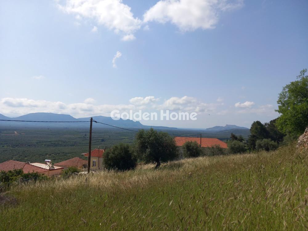 Αγροτεμάχια 5.469 τ.μ. προς πώληση, Πάκια