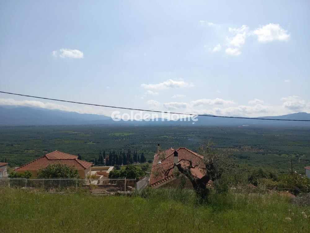 Αγροτεμάχια 5.025 τ.μ. προς πώληση, Πάκια