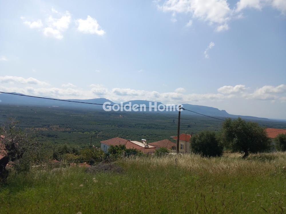 Αγροτεμάχια 5.025 τ.μ. προς πώληση, Πάκια