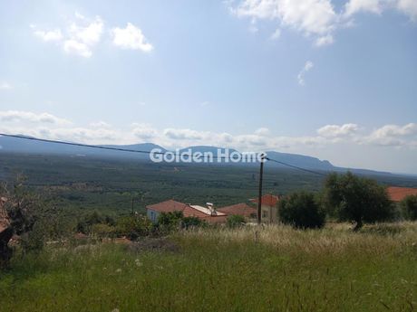 Αγροτεμάχια 5.016 τ.μ. προς πώληση