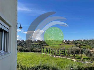 Μονοκατοικία 322 τ.μ. για πώληση, Αχαΐα, Μεσσατίδα-thumb-9