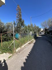 Οικόπεδο 1.317 τ.μ. για πώληση, Εύβοια, Χαλκίδα-thumb-5
