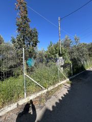 Οικόπεδο 1.317 τ.μ. για πώληση, Εύβοια, Χαλκίδα-thumb-7