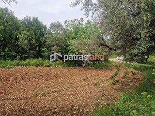 Αγροτεμάχια 4.970 τ.μ. για πώληση, Αχαΐα, Μεσσατίδα-thumb-6