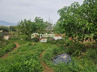 Αγροτεμάχια 4.970 τ.μ. για πώληση, Αχαΐα, Μεσσατίδα-thumb-10