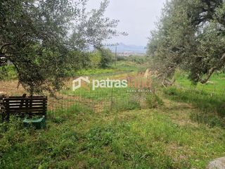 Αγροτεμάχια 4.970 τ.μ. για πώληση, Αχαΐα, Μεσσατίδα-thumb-8