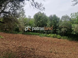 Αγροτεμάχια 4.970 τ.μ. για πώληση, Αχαΐα, Μεσσατίδα-thumb-3