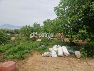 Αγροτεμάχια 4.970 τ.μ. για πώληση, Αχαΐα, Μεσσατίδα-thumb-7