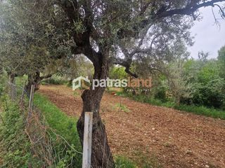 Αγροτεμάχια 4.970 τ.μ. για πώληση, Αχαΐα, Μεσσατίδα-thumb-2